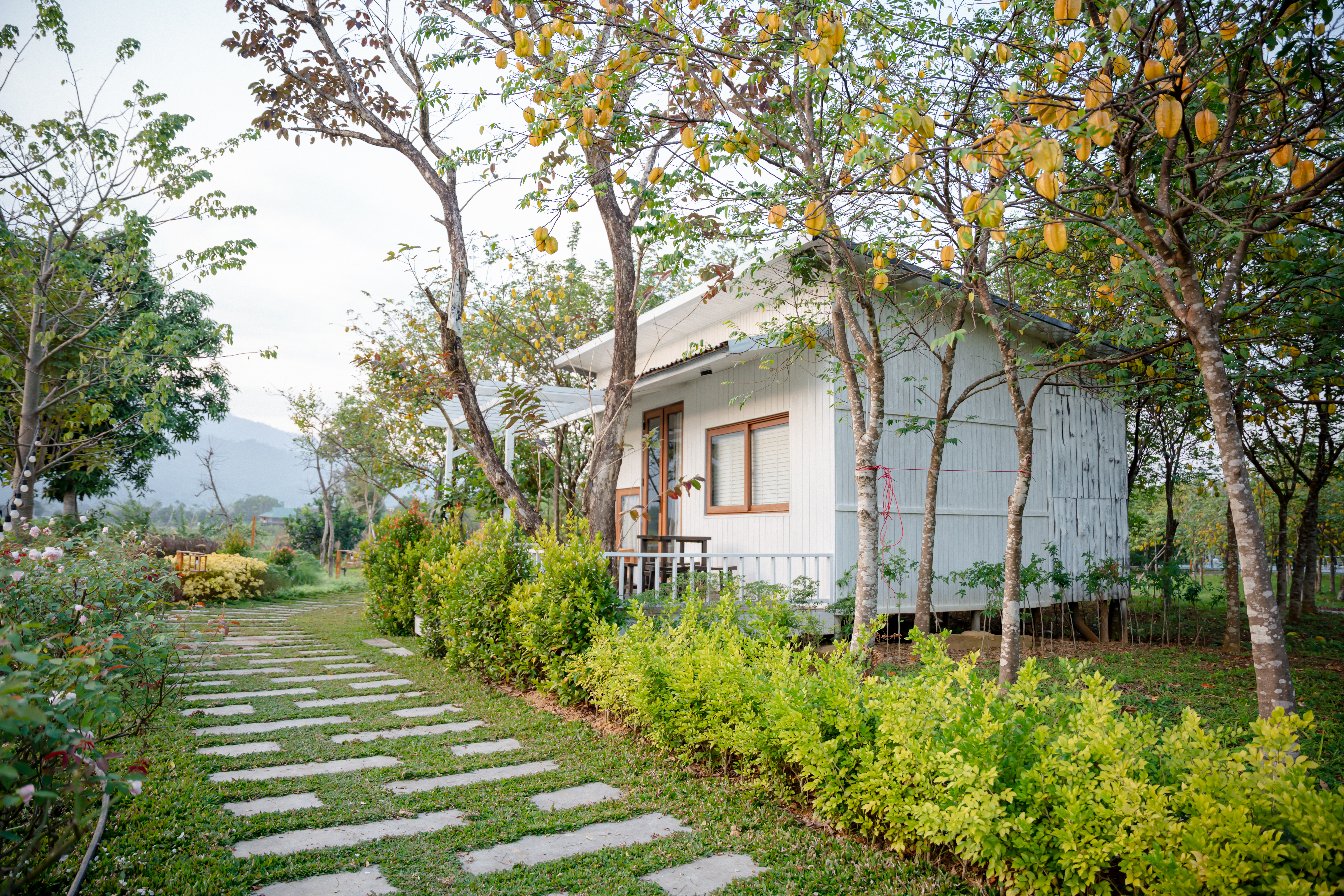 Khu vườn The Wandering Rose